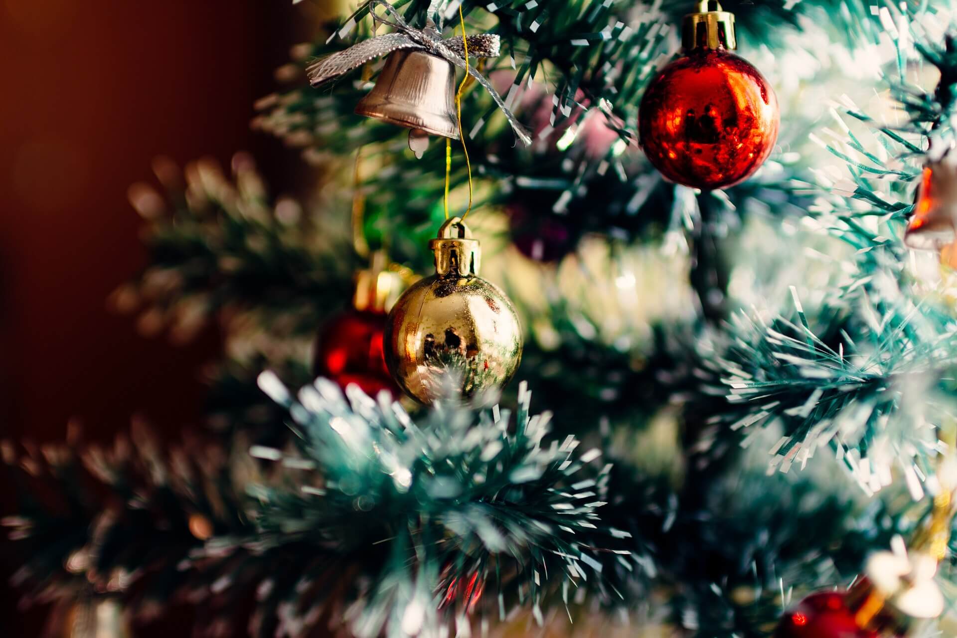 Tipps zum Kauf und zur Pflege deines Weihnachtsbaums